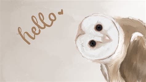 cute owl wallpaper|aesthetic owl wallpaper.